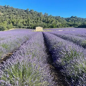 Coeur De Provence Gréoux-les-Bains